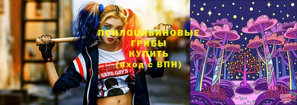 прущая мука Коряжма